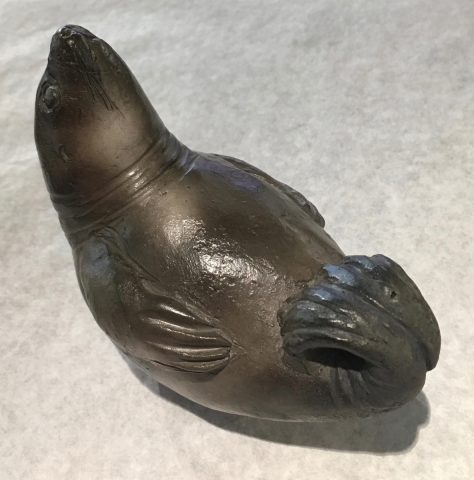 Adult seal