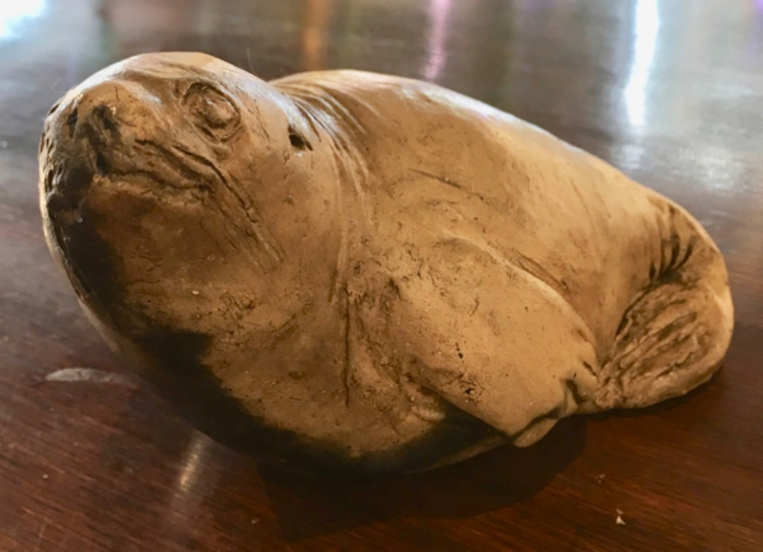 Seal (large)